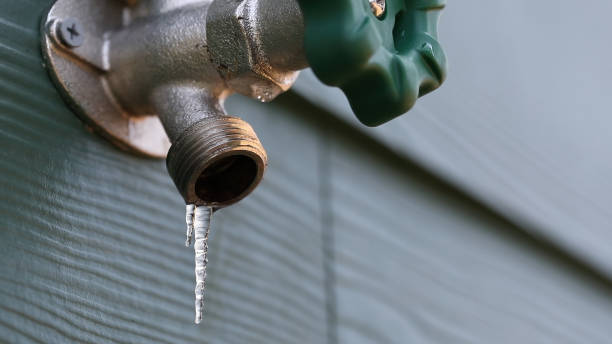 Best Drain Cleaning Services  in Tuskegee, AL